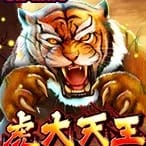 Tiger Warrior